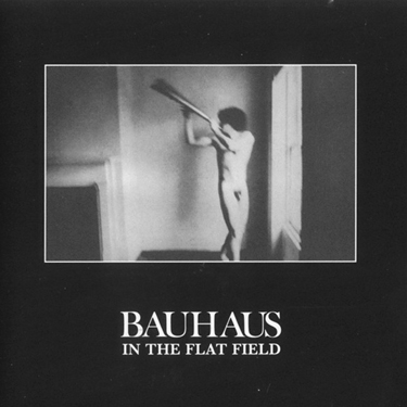 BAUHAUS - IN THE FLAT FIELD