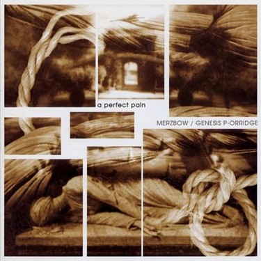 MERZBOW/GENESIS P-ORRIDGE - A PERFECT PAIN