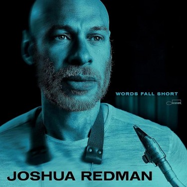REDMAN JOSHUA - WORDS FALL SHORT