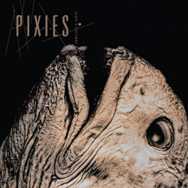 PIXIES - COMPLETE B SIDES