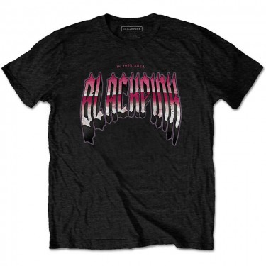 BlackPink Unisex T-Shirt: Gothic (Medium)