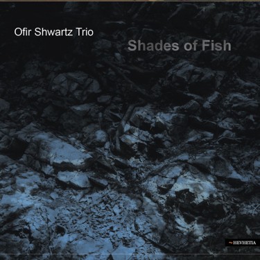 OFIR SHWARTZ TRIO - SHADES OF FISH