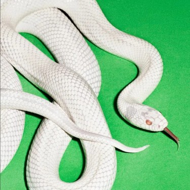 DEFTONES - PRIVATE MUSIC