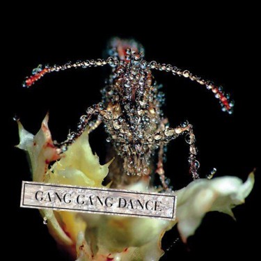 GANG GANG DANCE - EYE CONTACT