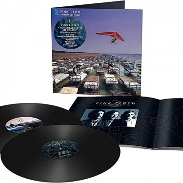 PINK FLOYD - A MOMENTARY LAPSE OF REASON (180 GR)