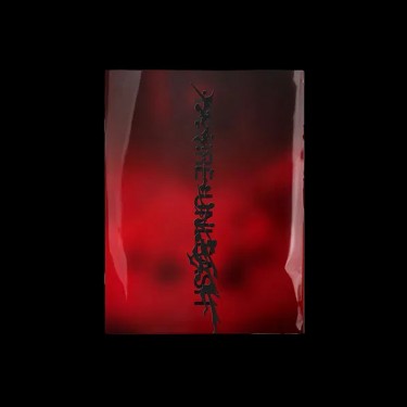 ENHYPEN - DESIRE: UNLEASH (MINE VER.)