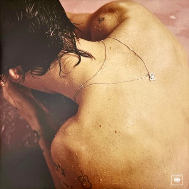 STYLES HARRY - HARRY STYLES
