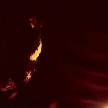 SKEPTICISM - STORMCROWFLEET (30TH ANNIVERSARY)