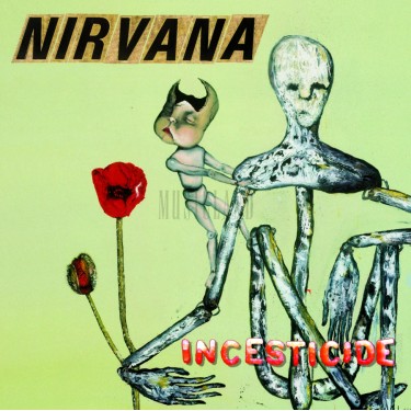 NIRVANA - INCESTICIDE/180G