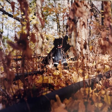 WOODS BILLY - GOLLIWOG