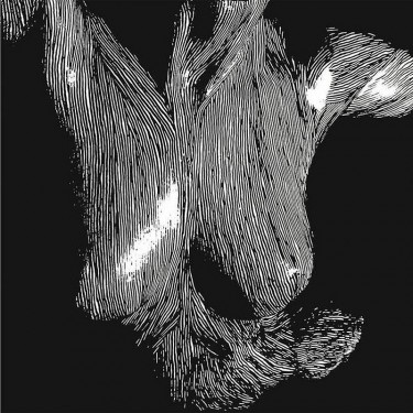 OCEANSIZE - SELF PRESERVED WHILE THE BODIES FLOAT UP