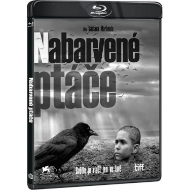 NABARVENÉ PTÁČE - FILM