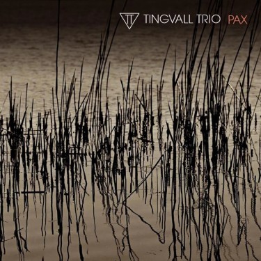 TINGVALL TRIO - PAX