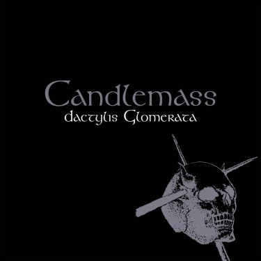 CANDLEMASS - DACTYLIS GLOMERATA