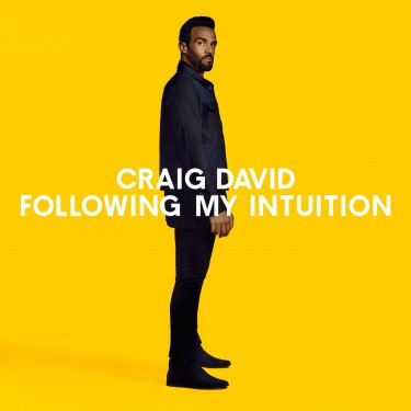 DAVID CRAIG - FOLLOWING MY INTUITION