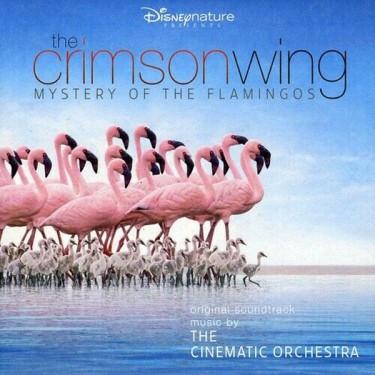 CINEMATIC ORCHESTRA - CRIMSON WING - MYSTERY OF THE FLAMINGOS O.S.T.