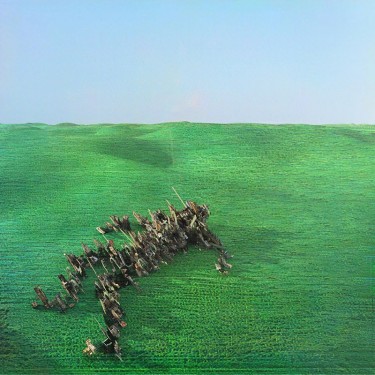 SQUID - BRIGHT GREEN FIELD