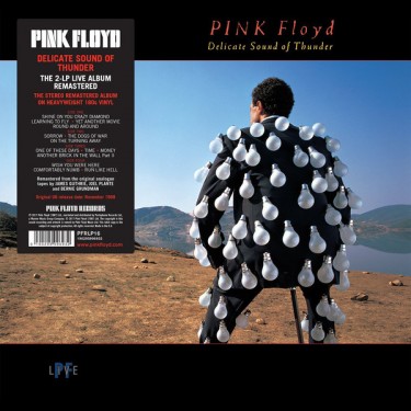 PINK FLOYD - DELICATE SOUND OF THUNDER/180G