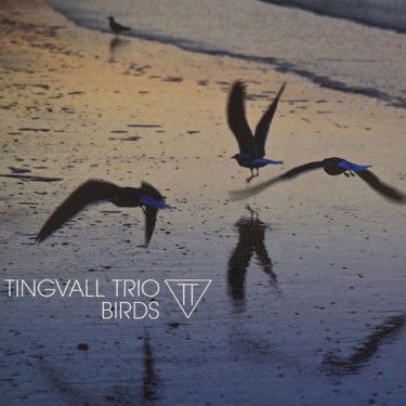 TINGVALL TRIO - BIRDS