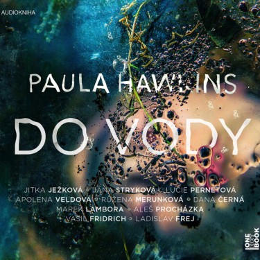 DO VODY - PAULA HAWKINS