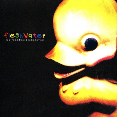 FLESHWATER - WE'RE NOT HERE TO BE LOVED