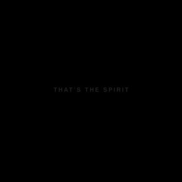 BRING ME THE HORIZON - THAT S THE SPIRIT