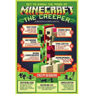 plakát 809 - Minecraft - Creepy Behaviour - 61 X 91,5 CM