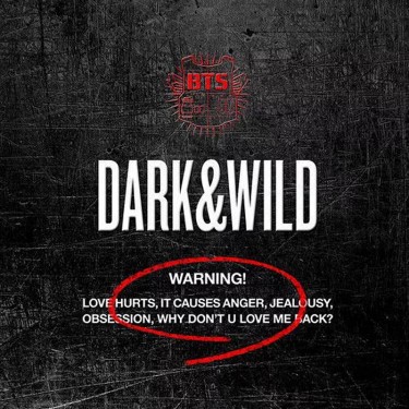 BTS - DARK & WILD (VOL.1)