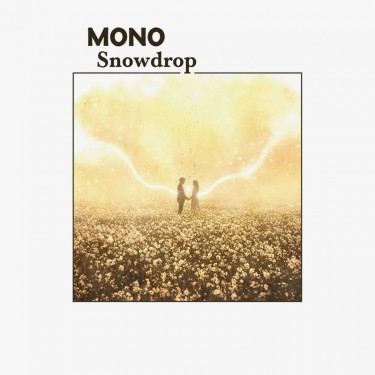 MONO - SNOWDROP (COLOURED BOYSENBERRY)