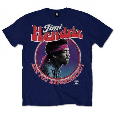 Jimi Hendrix Unisex T-Shirt: Are You Experienced? (Medium)
