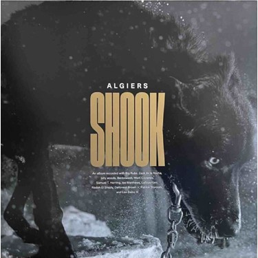 ALGIERS - SHOOK (LIMITED EDITION)