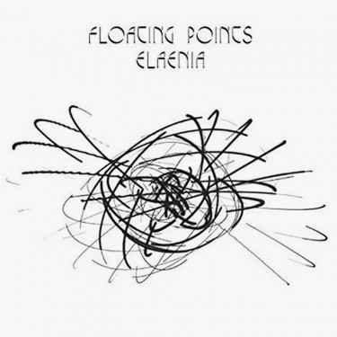 FLOATING POINTS - ELAENIA