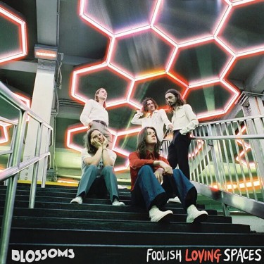 BLOSSOMS - FOOLISH LOVING SPACES