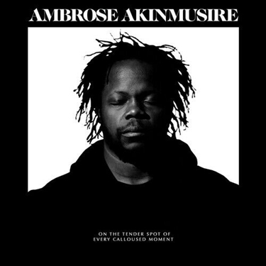 AMBROSE AKINMUSIRE - ON THE TENDER SPOT OF EVERY CALLOUSED MOMENT