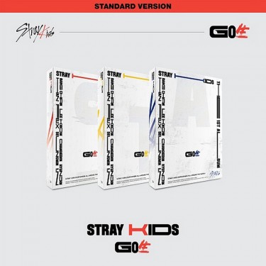 STRAY KIDS - GO LIVE