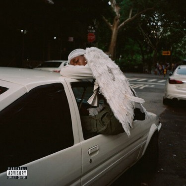 BLOOD ORANGE - NEGRO SWAN