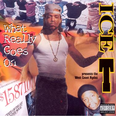 ICE-T - WHAT REALLY GOES ON