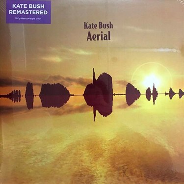 BUSH KATE - AERIAL