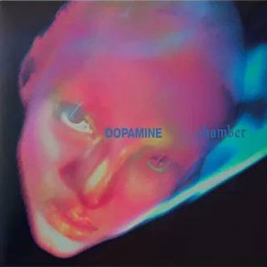 FONTAINES D.C. - DOPAMINE CHAMBER