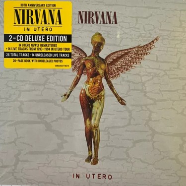 NIRVANA - IN UTERO (30TH ANNIVERSARY / DELUXE)