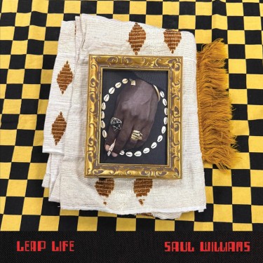 WILLIAMS SAUL - LEAP LIFE