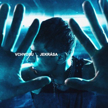 MIŠÍK ADAM - V CHAOSU JE KRÁSA