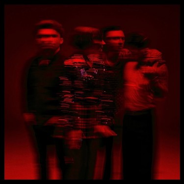 MARMOZETS - CO.WAR.DICE.