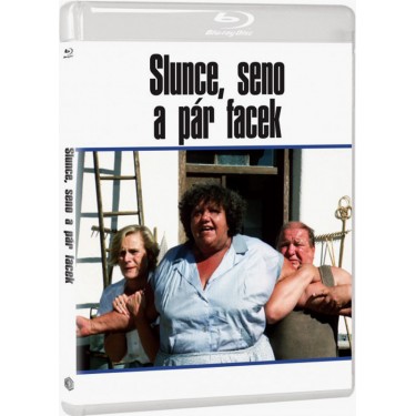 SLUNCE, SENO A PÁR FACEK - FILM