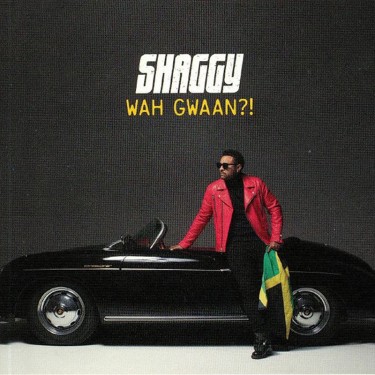 SHAGGY - WAH GWAAN?|