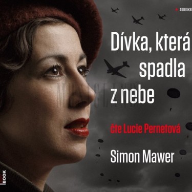 MAWER, S. / PARNETOVÁ, L. - DÍVKA, KTERÁ SPADLA Z NEBE