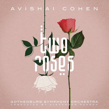 COHEN AVISHAI - TWO ROSES