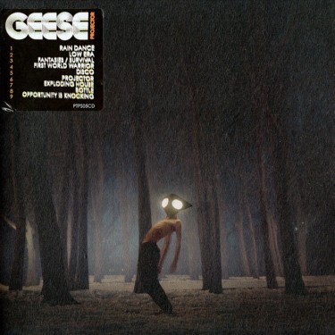 GEESE - PROJECTOR
