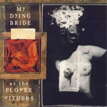 MY DYING BRIDE - AS THE FLOWER WITHERS