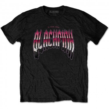 BlackPink Unisex T-Shirt: Gothic (Small)